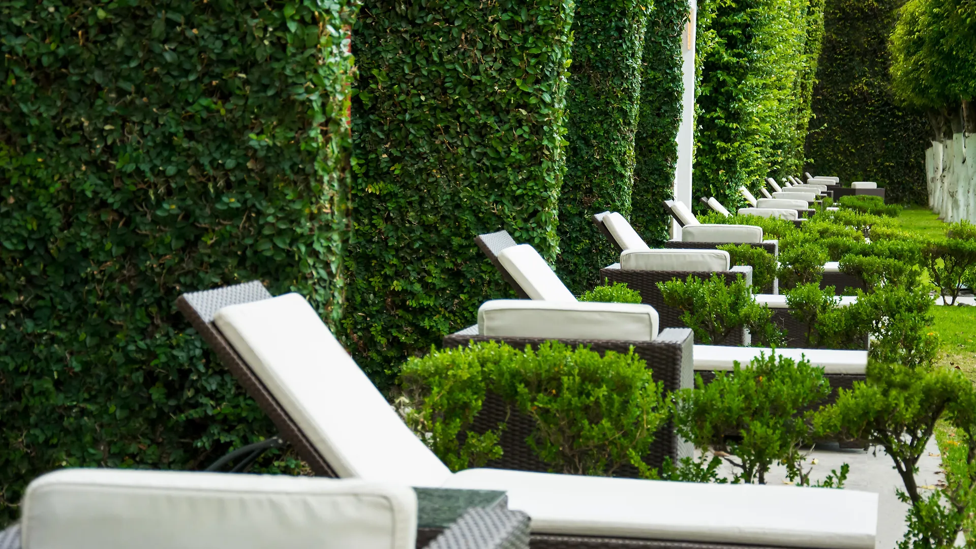 ****  Hotel Estancia Business Class Zapopan Mexico